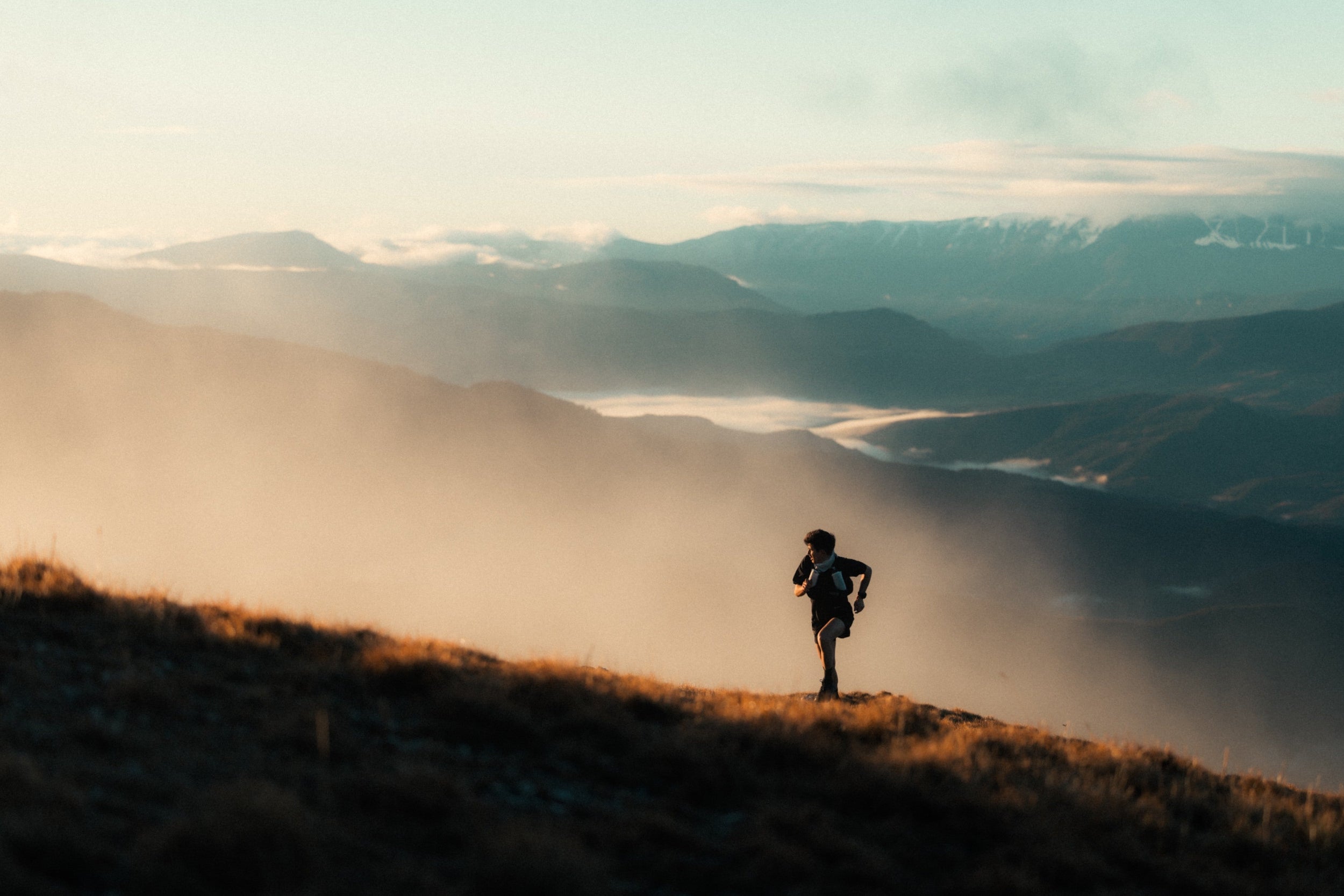 BORN FREE | WISE Ultra Running Manifest