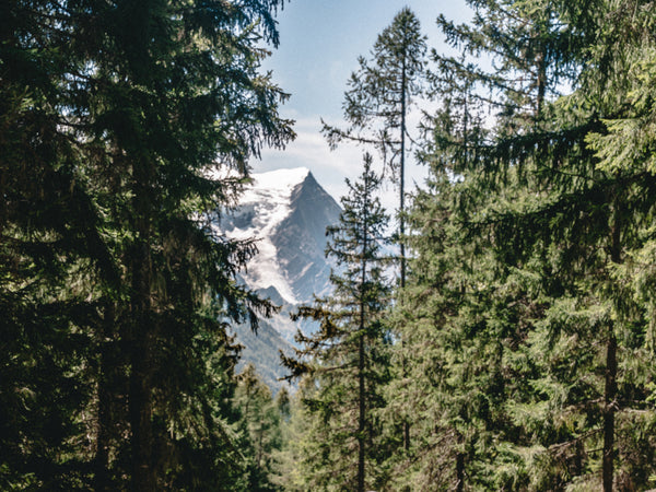 Marathon du Mont-Blanc