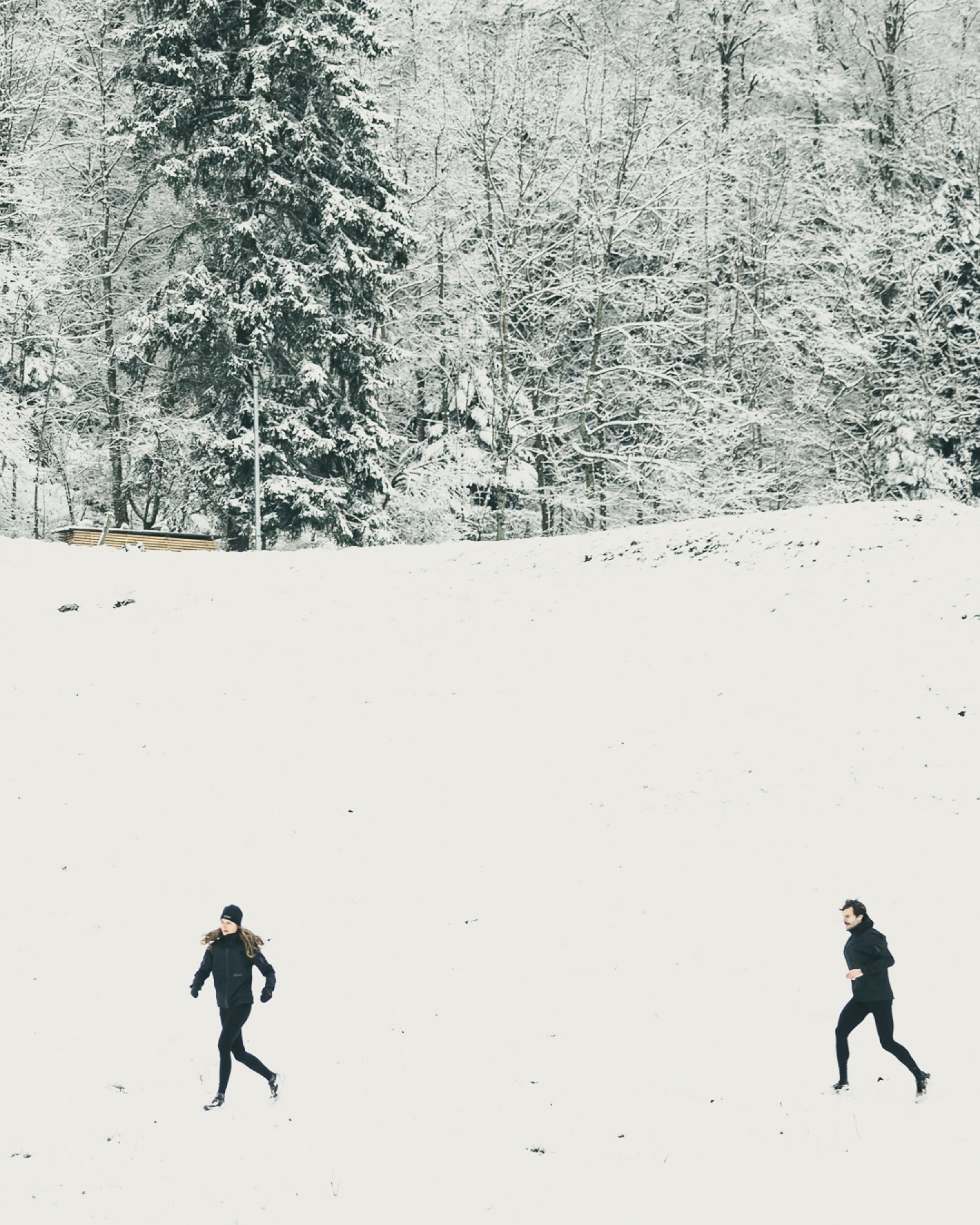 Coureurs trail dans la neige